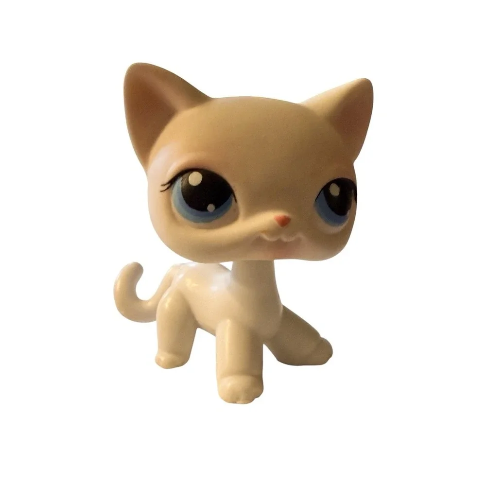 Littlest Pet Shop White Cat #64 Carry Case Pink Sunglasses Complete 2005 LPS